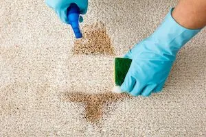 Хімчистка меблів