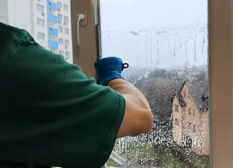 мийка вікон